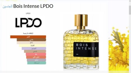  Bois Intense 100ml EDPI  