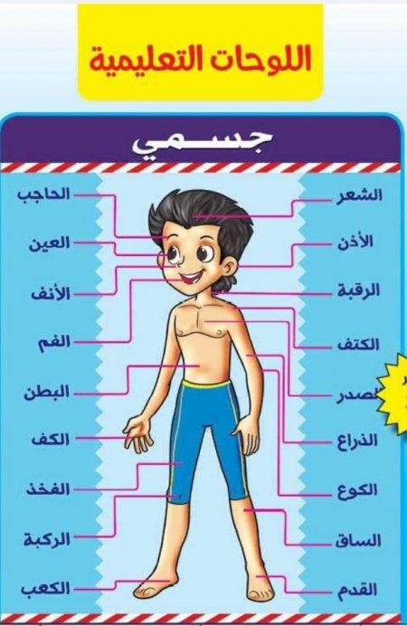 عرض اللوحات التعليمية((بوسترات كبيره) - 12